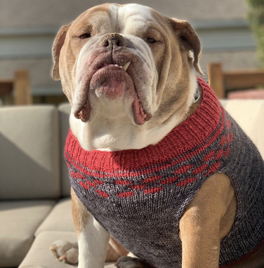 Snow dog knitting pattern hotsell