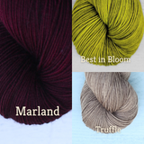 Check It Out - Kit No. 20